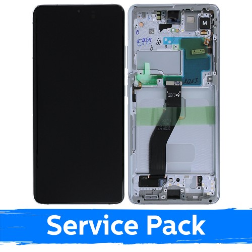 Ekranas skirtas Samsung G998 S21 Ultra su rėmeliu / Phantom Silver / (Service Pack)