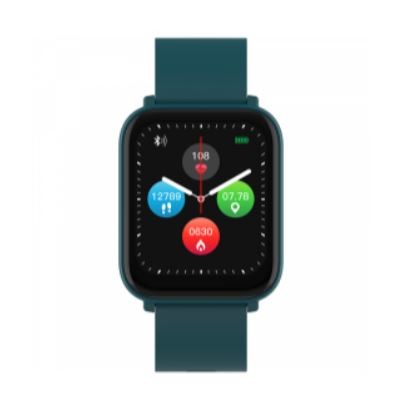 Išmanieji laikrodžiai CANYON Easy SW-54 žalios spalvos