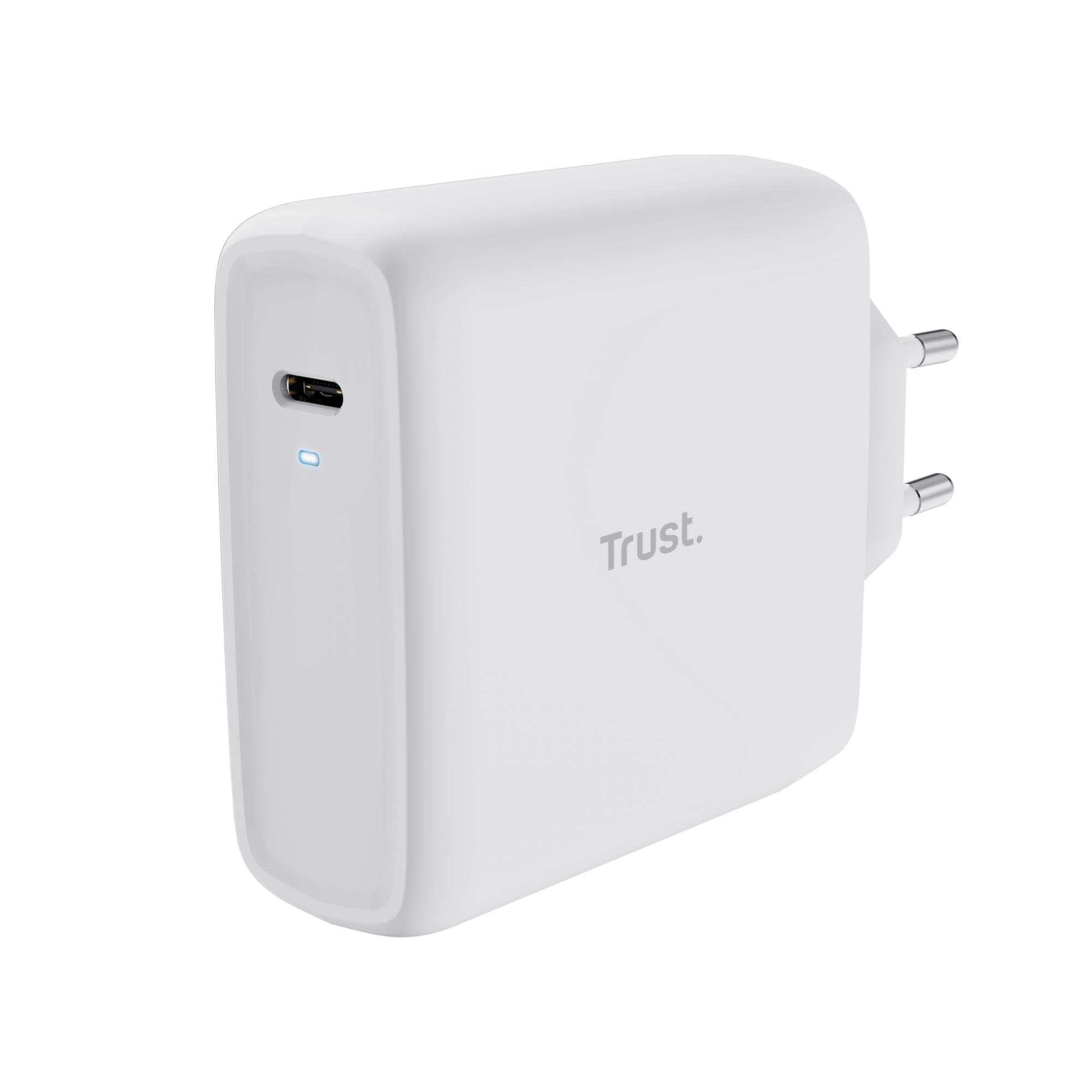 Tinklo įkroviklis TRUST Maxo 100W USB-C baltas