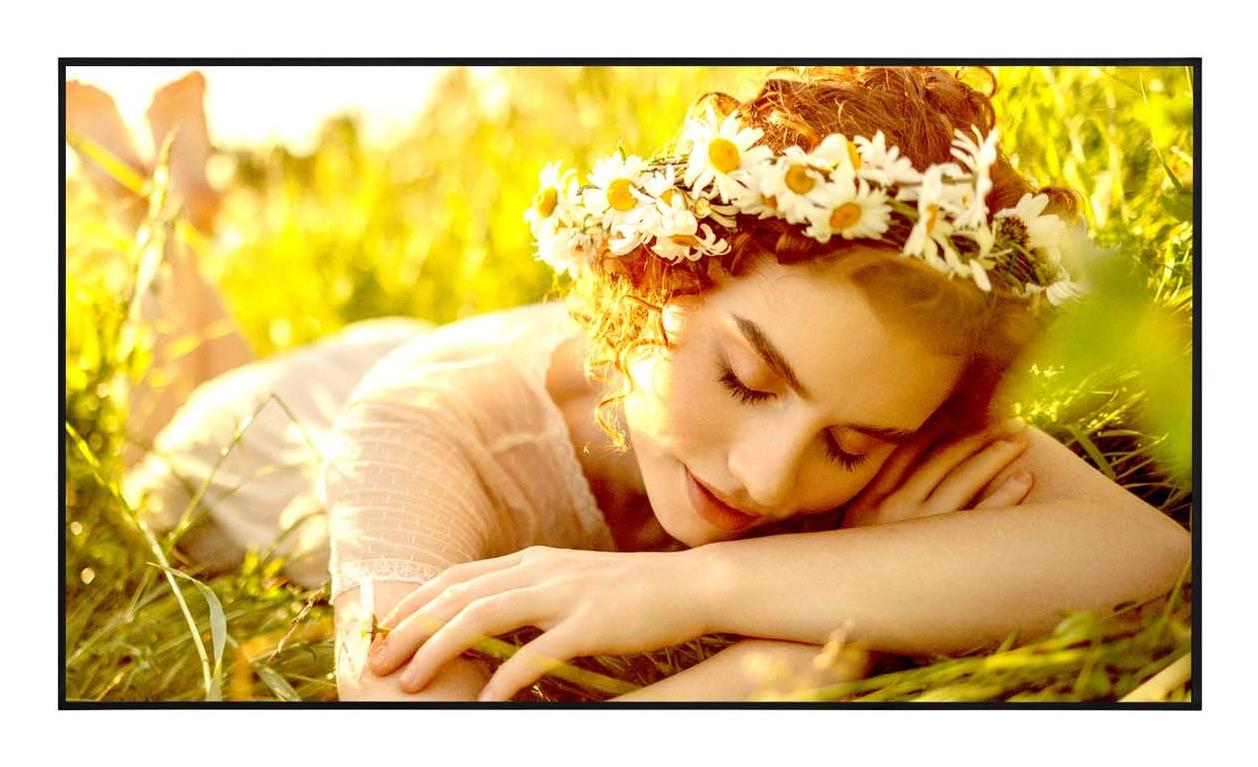 LCD ekranas 65" 65UL5Q-E LG