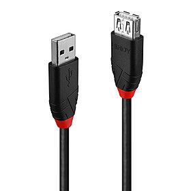 USB2 prailginimo laidas 5m 42817 Lindy
