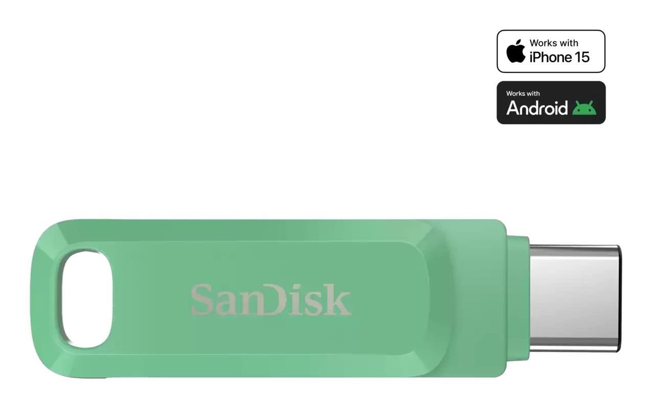 USB-C atmintinė SANDISK 512GB SDDDC3-512G-G46AG