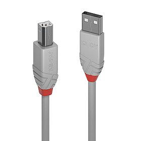 Lindy USB2 A-B laidas 2m Anthra pilkas