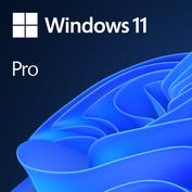 Microsoft Windows 11 Pro GGK 64-bit OEM programinė įranga