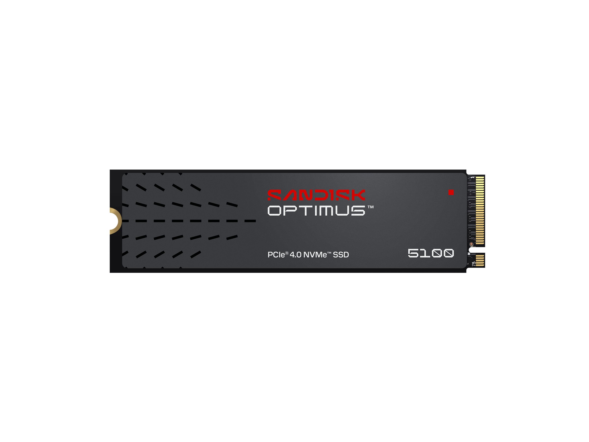 SSD diskas SANDISK Optimus 5100 NVMe 1TB
