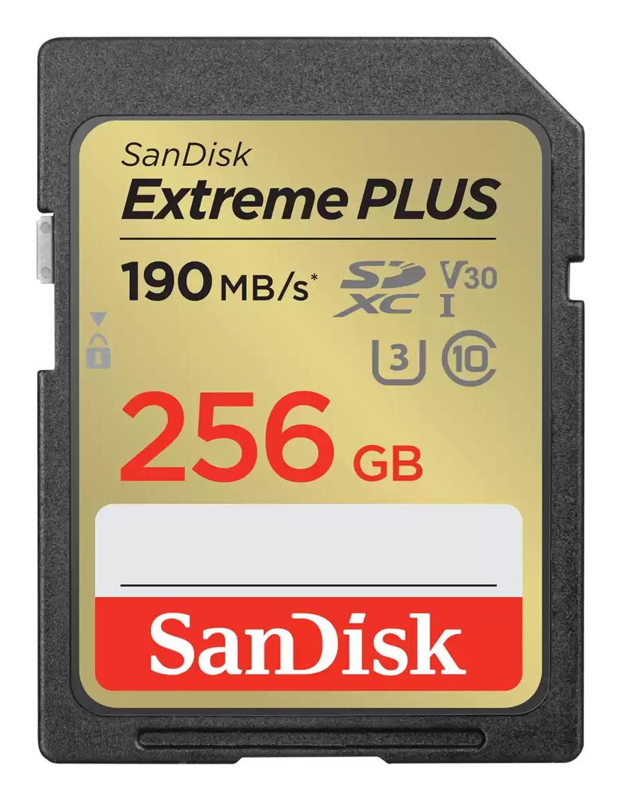 Atmintis SDXC 256GB UHS-1/SDSDXWV-256G-GNCIN SANDISK