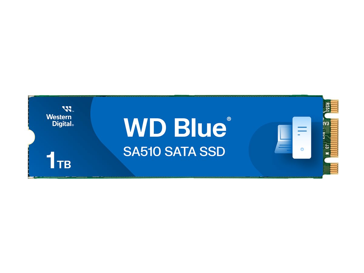 WD Mėlynas SA510 SSD 1TB M.2 SATA III