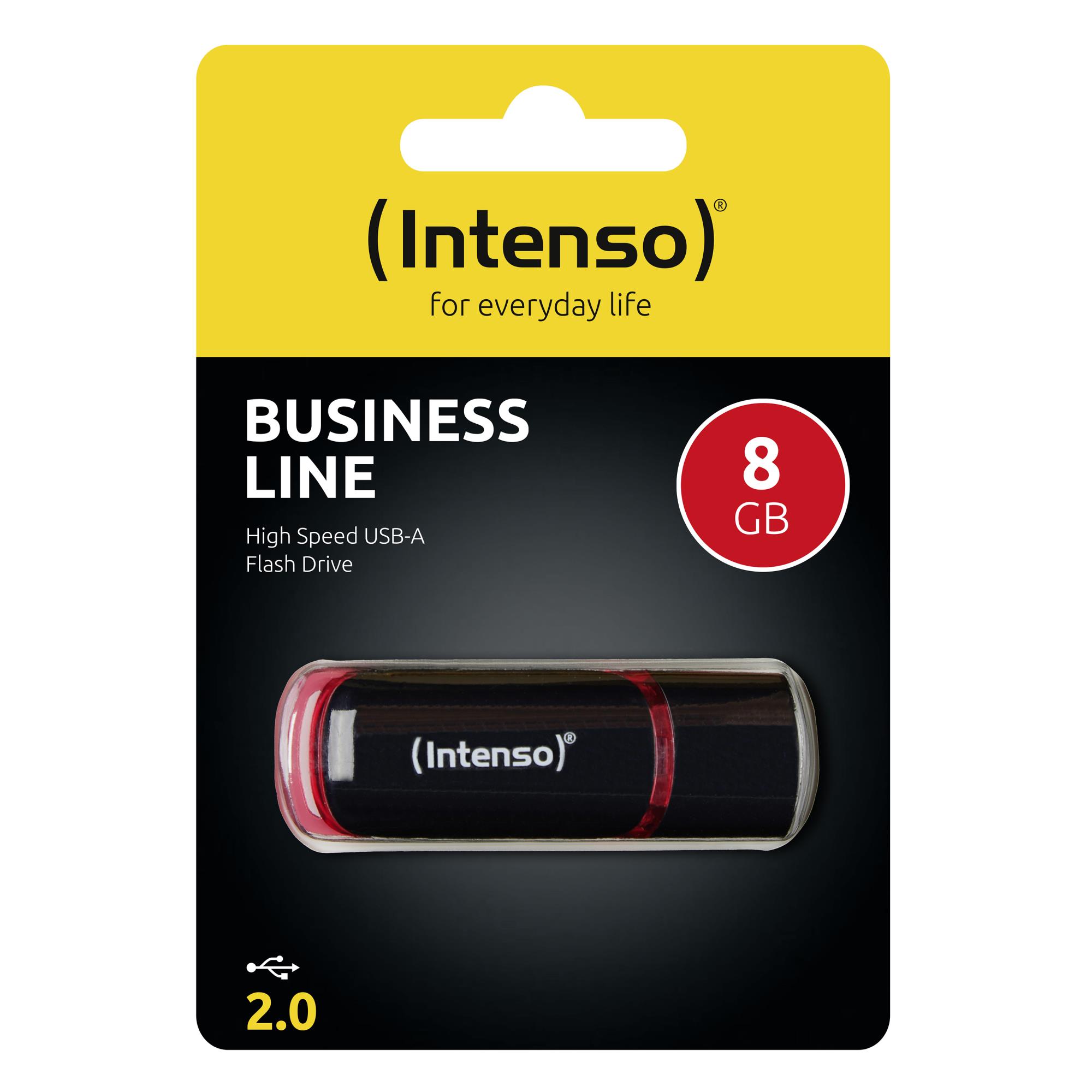 Atminties kaupiklis Flash USB2 8gb/3511460 INTENSO