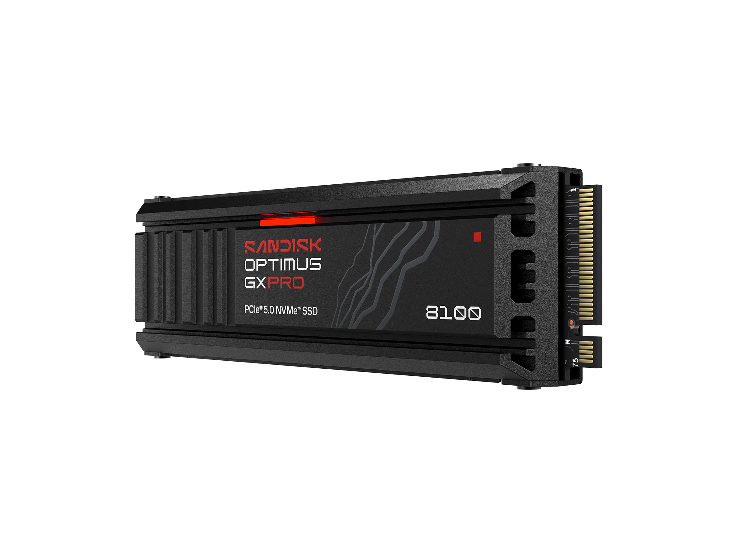 SanDisk Optimus GX PRO 8100 1TB su šaldytuvu