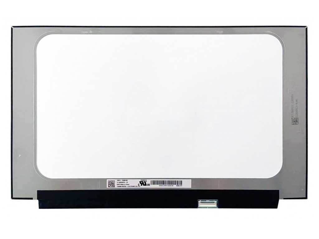Ekranas 15.6", 1920x1200, 300Hz, matinis, 40pin, dešinėje, IPS