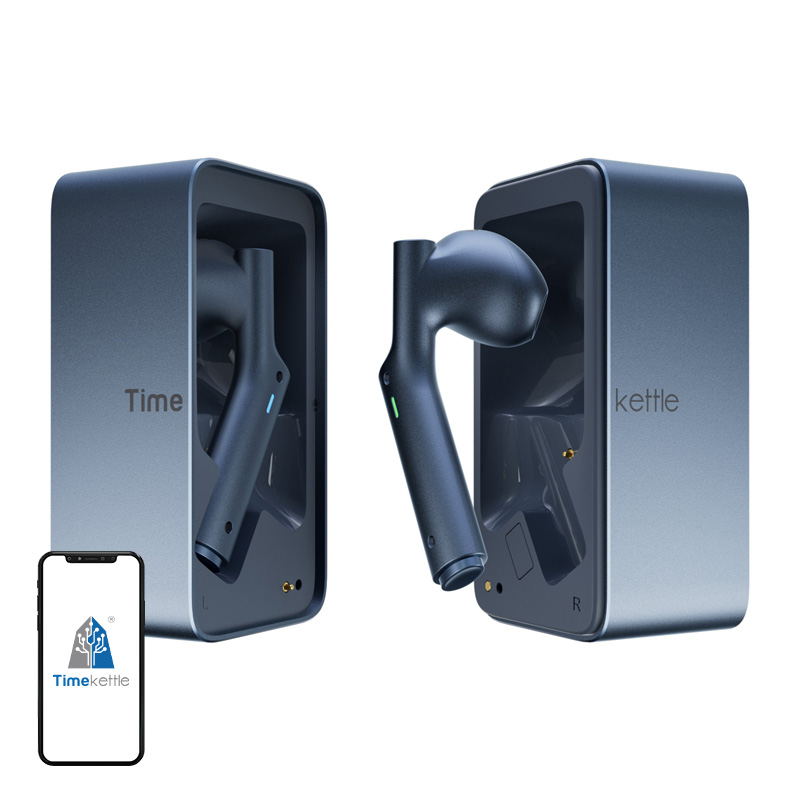 TIMEKETTLE W4 vertimo ausinės (mėlynos)