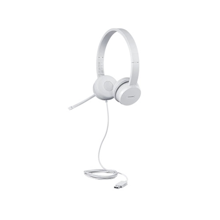 Lenovo USB ausinės su mikrofonu 110 Stereo Taip USB Type-A