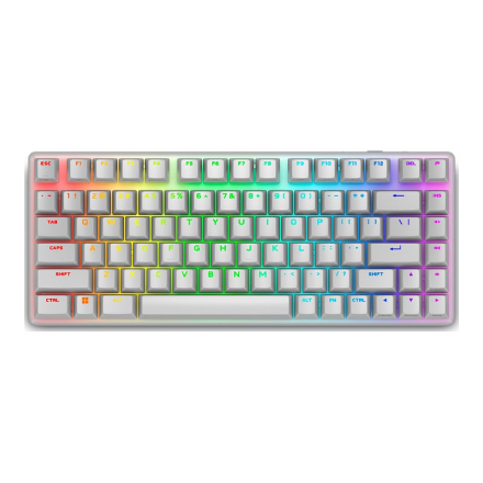 Dell 545-BBFR Alienware Pro Gaming Keyboard Wireless Bluetooth US Alienware Linear Mechanical Lunar Light
