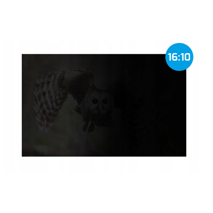 Natec Owl NFP-2477 – 14 colių 16:10 privatumo filtras