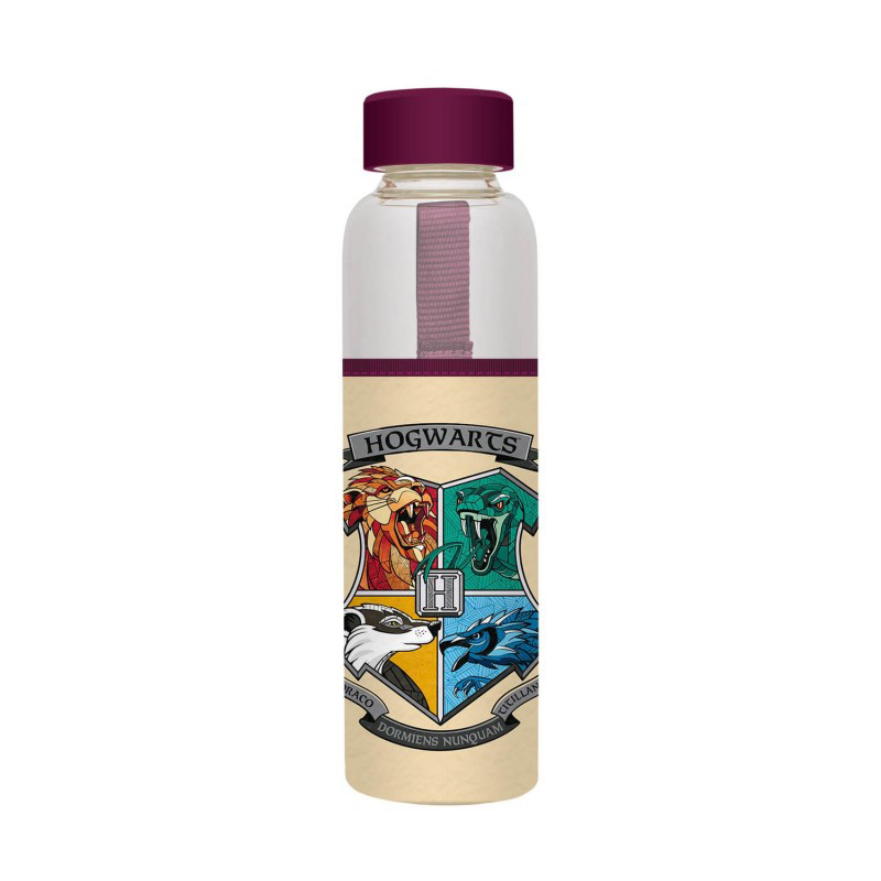 Harry Potter Hogwarts stiklinė gertuvė, 500 ml