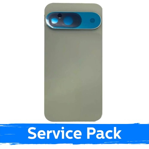 Galinis dangtelis skirtas Google Pixel 9 / Wintergreen / (Service Pack)