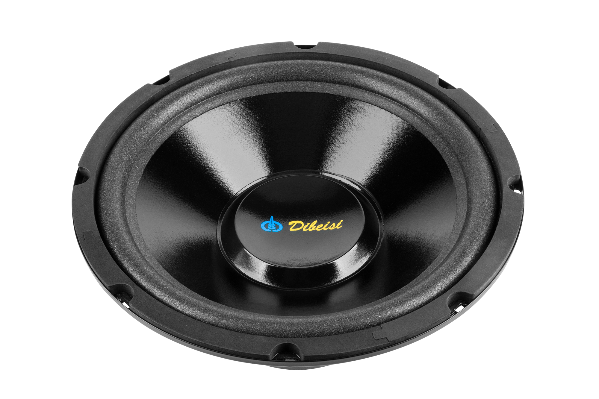 10 colių garsiakalbis DBS-G1001, 8 omai