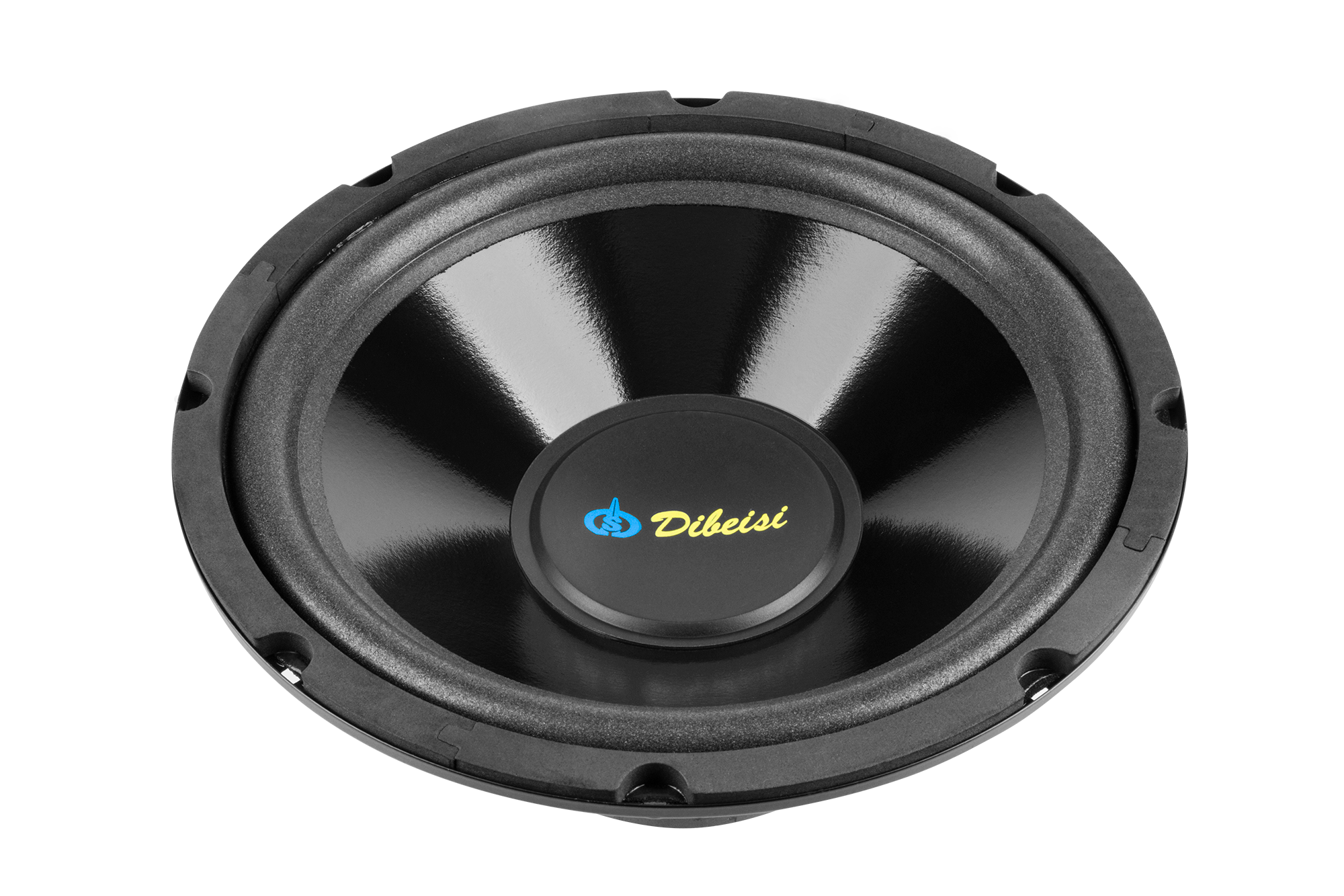 10 colių garsiakalbis DBS-G1002, 8 omai