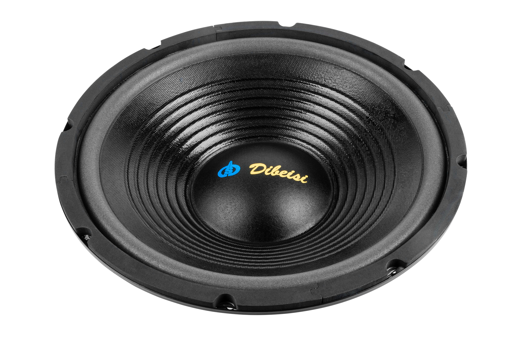 12 colių garsiakalbis DBS-G1201, 4 omai
