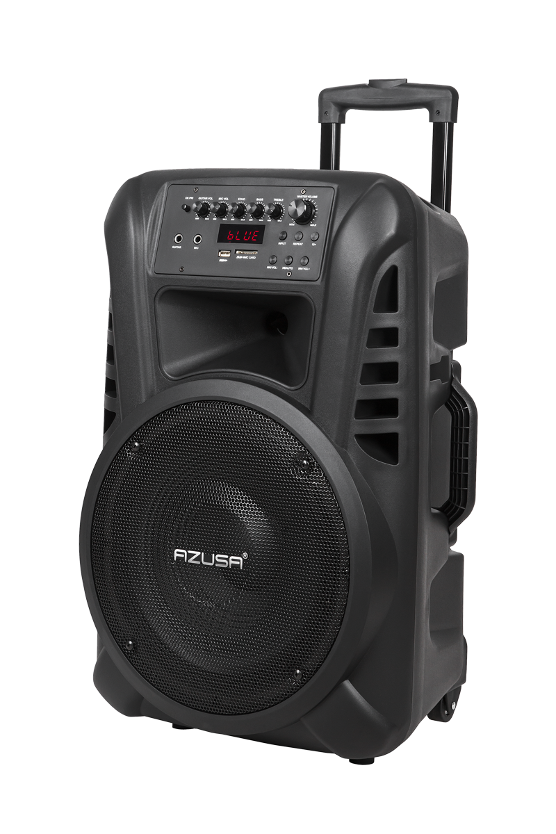 Aktyvi garso kolonėlė su 2 belaidžiais mikrofonais, SD, Bluetooth, USB, 12 colių, 40 W